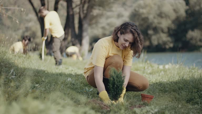 Lawn Drainage Solutions in Avoca, IA
